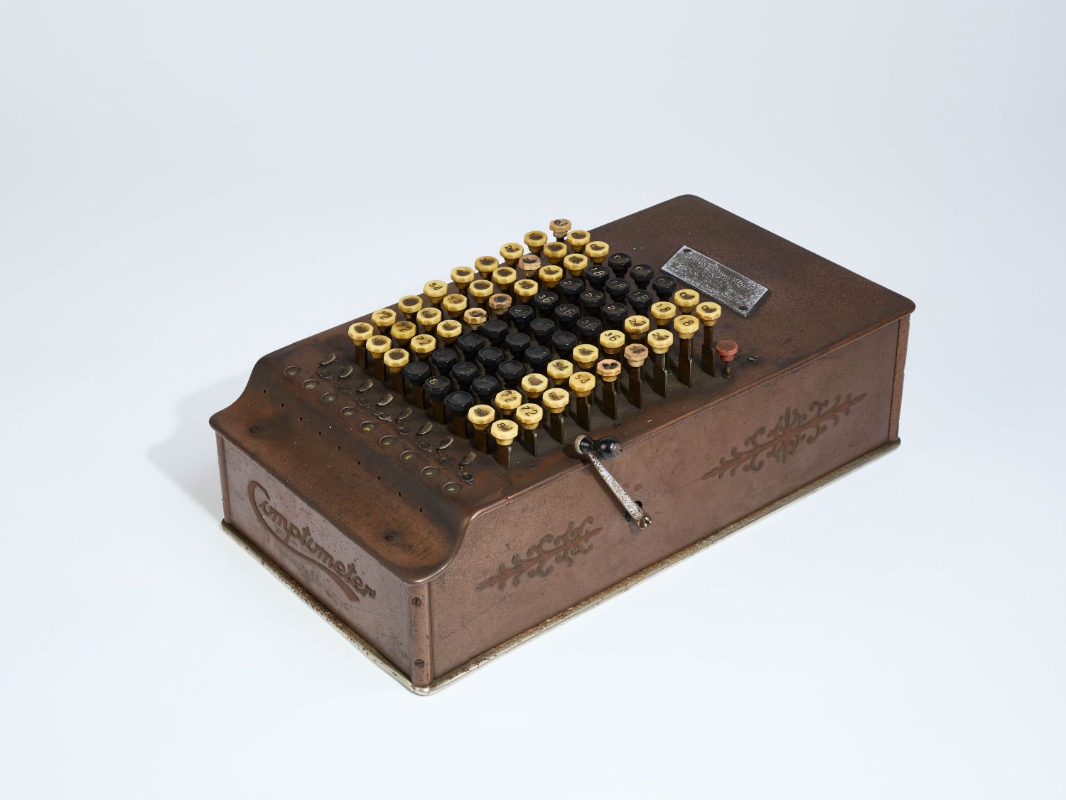 CAMPAGNE LEWARDE 2024_SESSION 1