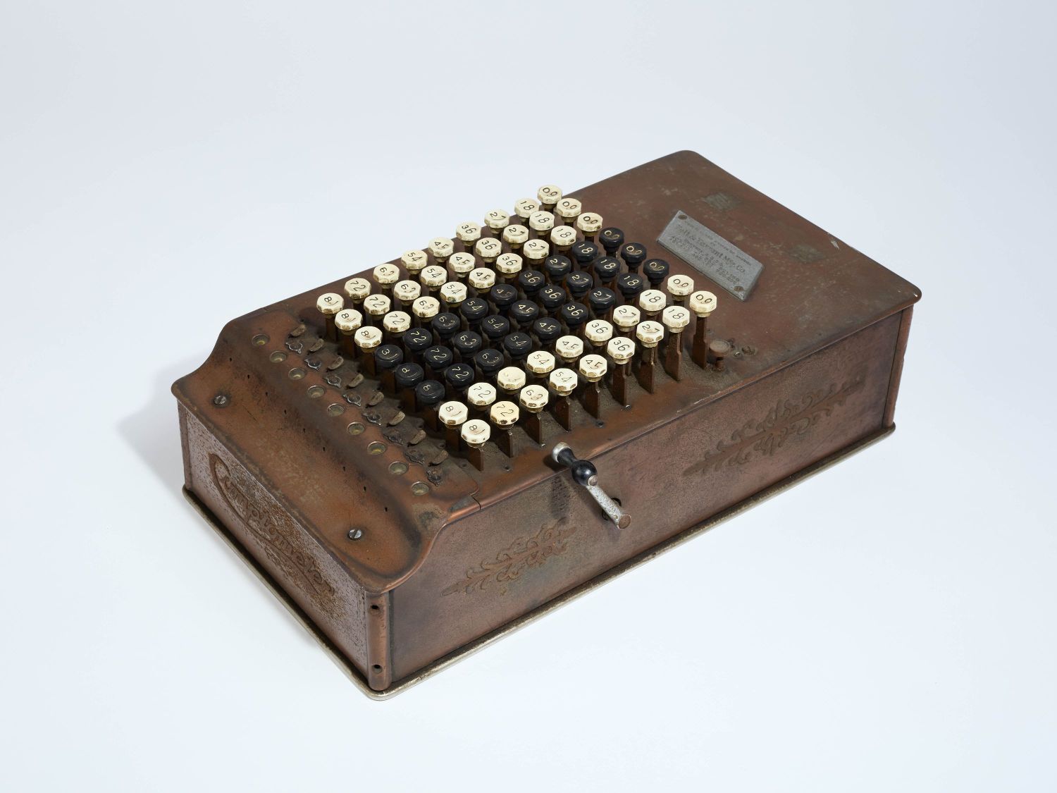 CAMPAGNE LEWARDE 2024_SESSION 1