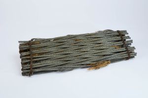 CAMPAGNE LEWARDE 2024_SESSION 1