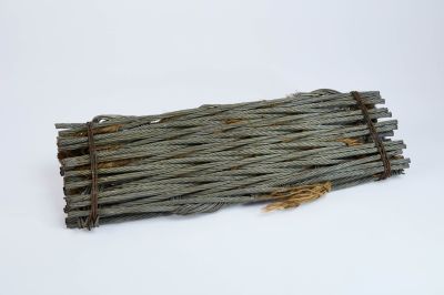 CAMPAGNE LEWARDE 2024_SESSION 1