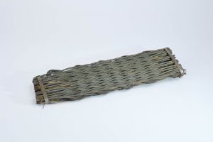 CAMPAGNE LEWARDE 2024_SESSION 1