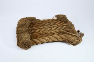 CAMPAGNE LEWARDE 2024_SESSION 1