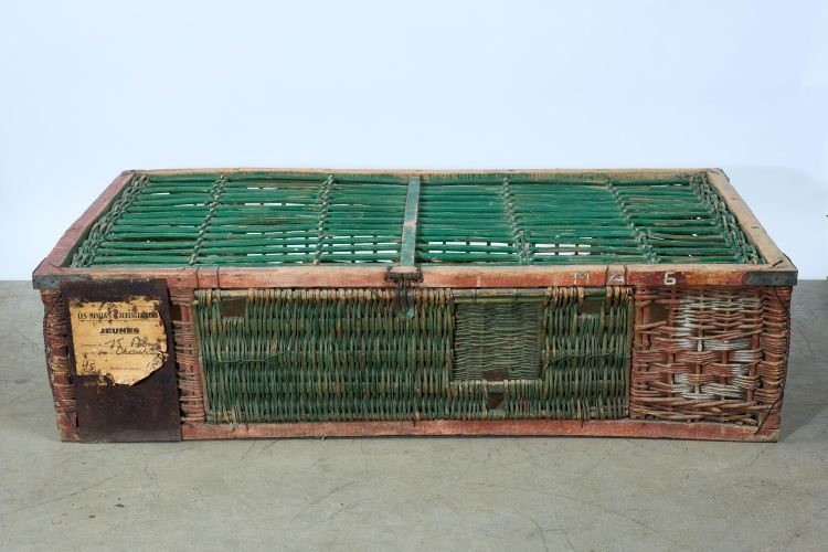 CAMPAGNE LEWARDE 2024_SESSION 1