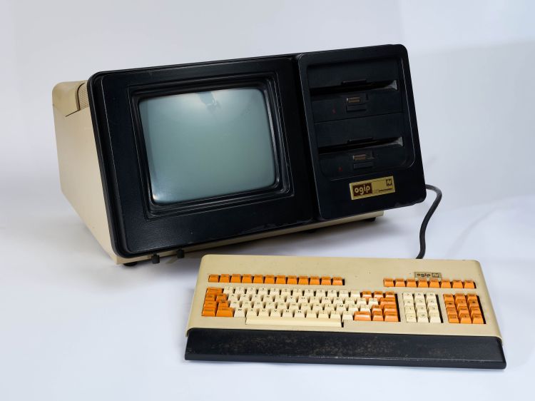 CAMPAGNE LEWARDE 2024_SESSION 1