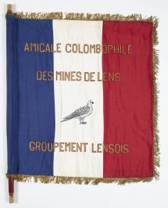 Campagne photographique Musenor 2021