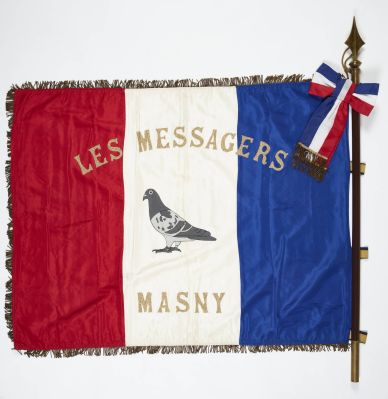 Campagne photographique Musenor 2021