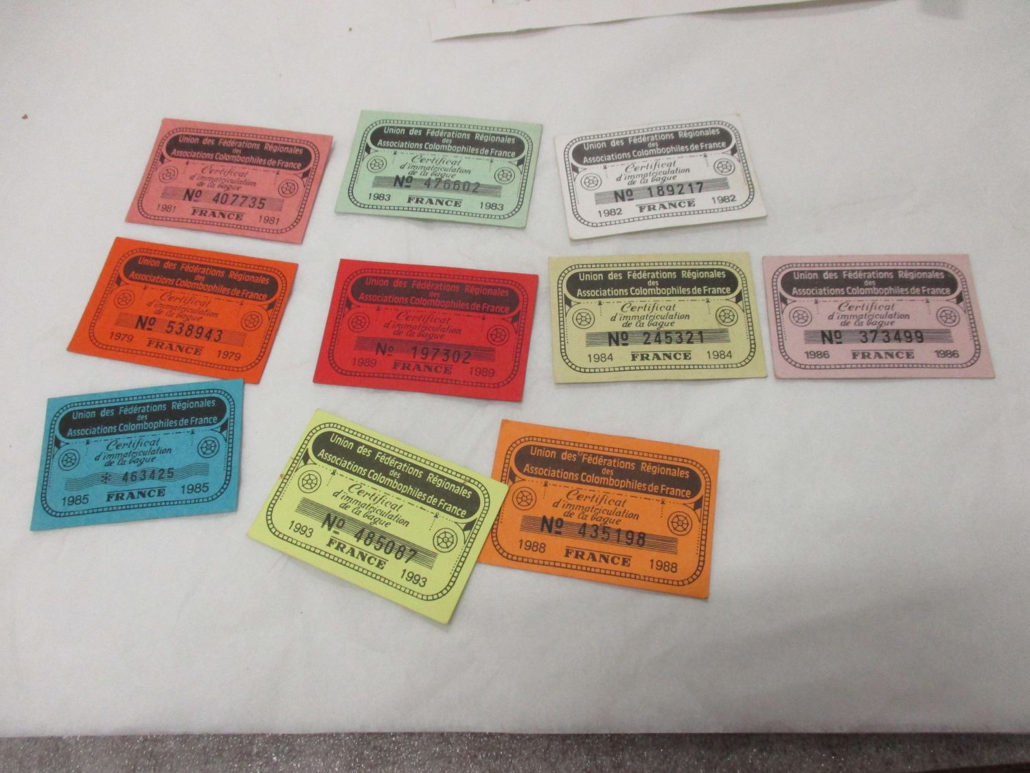 Veuillez patienter...