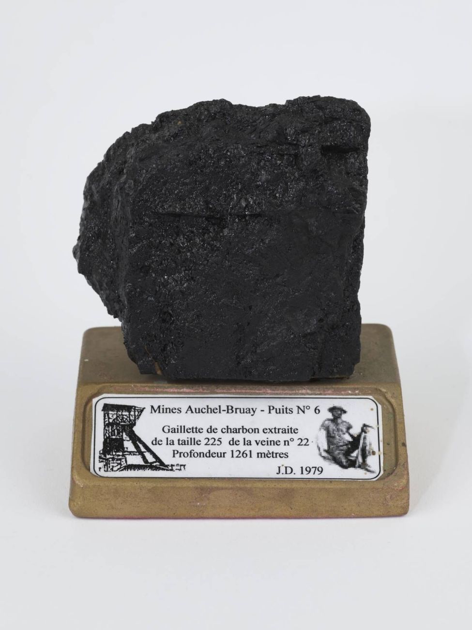 Campagne photographique Musenor 2021