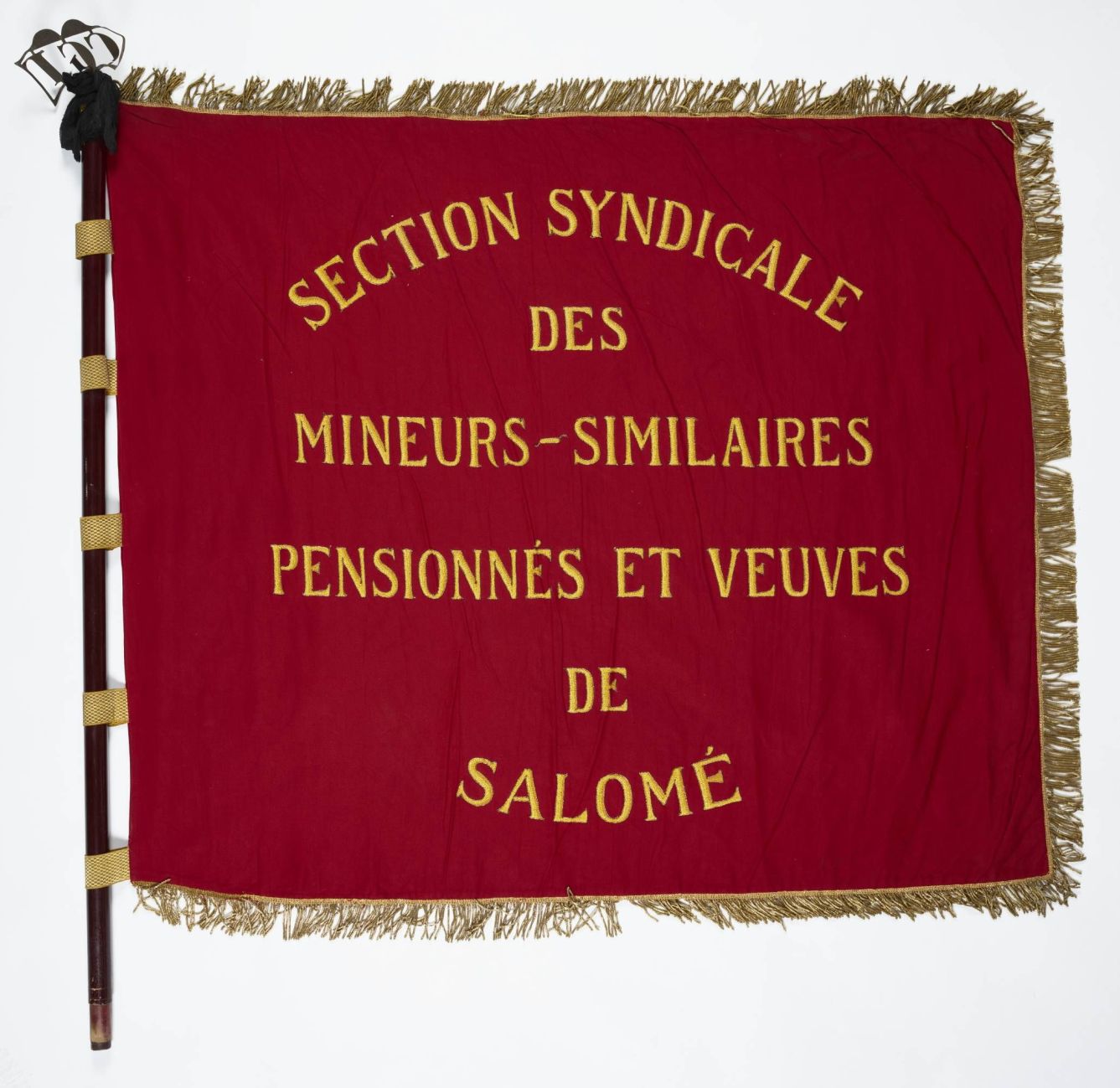 Campagne photographique Musenor 2021