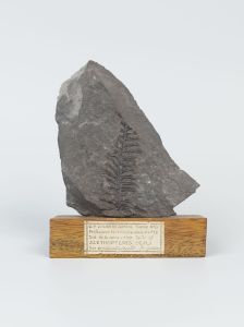 Centre historique minier