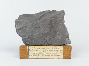 Centre historique minier