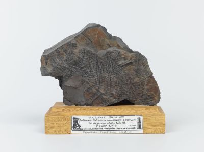 Centre historique minier