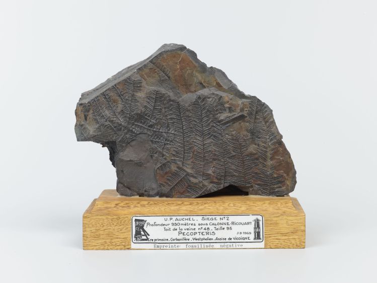 Centre historique minier