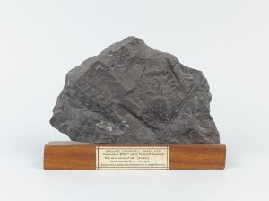 Centre historique minier