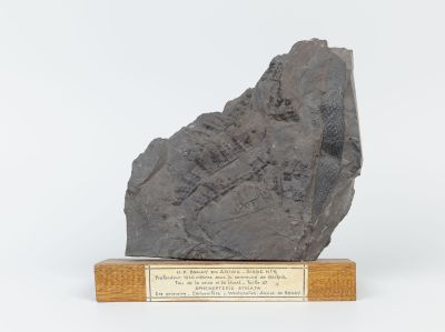 Centre historique minier