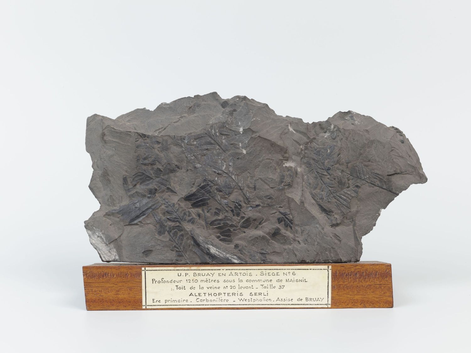 Centre historique minier