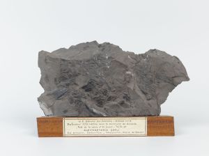 Centre historique minier