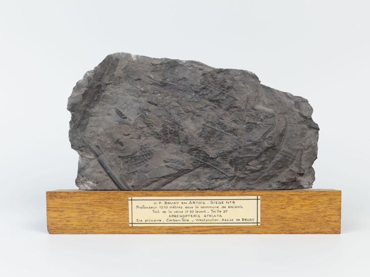 Centre historique minier