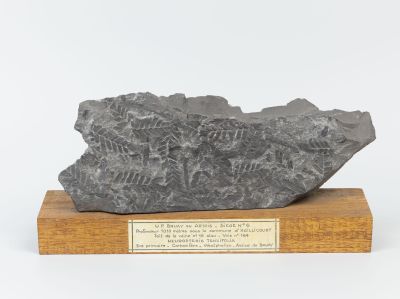 Centre historique minier