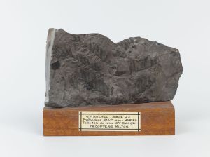 Centre historique minier