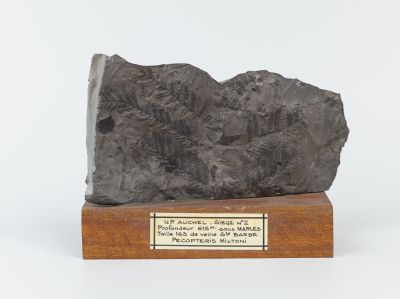 Centre historique minier