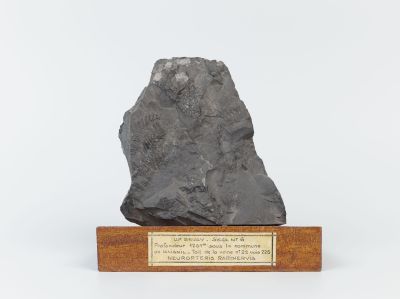 Centre historique minier