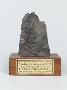 Centre historique minier