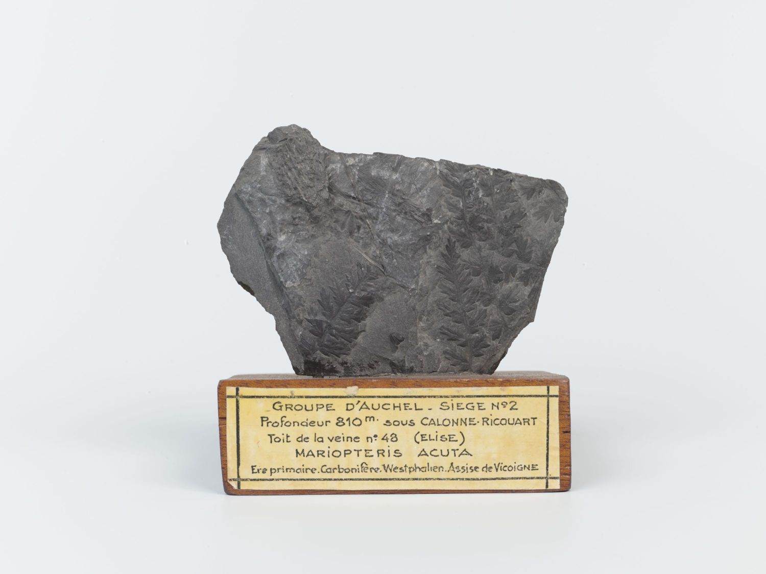 Centre historique minier