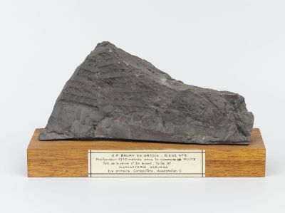 Centre historique minier