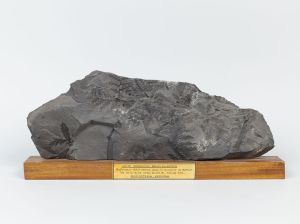 Centre historique minier