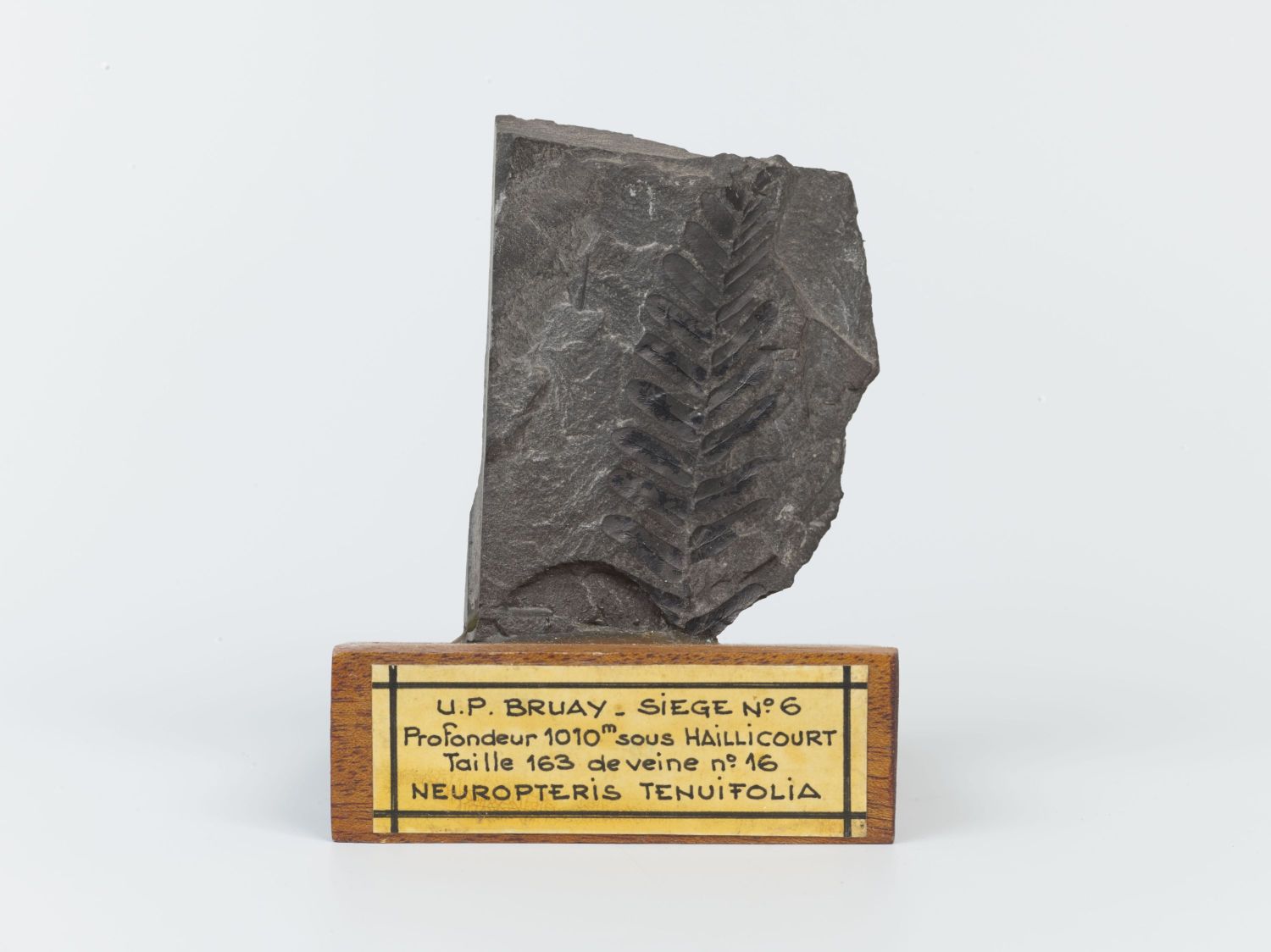 Centre historique minier