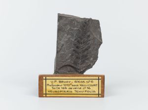 Centre historique minier