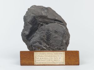 Centre historique minier