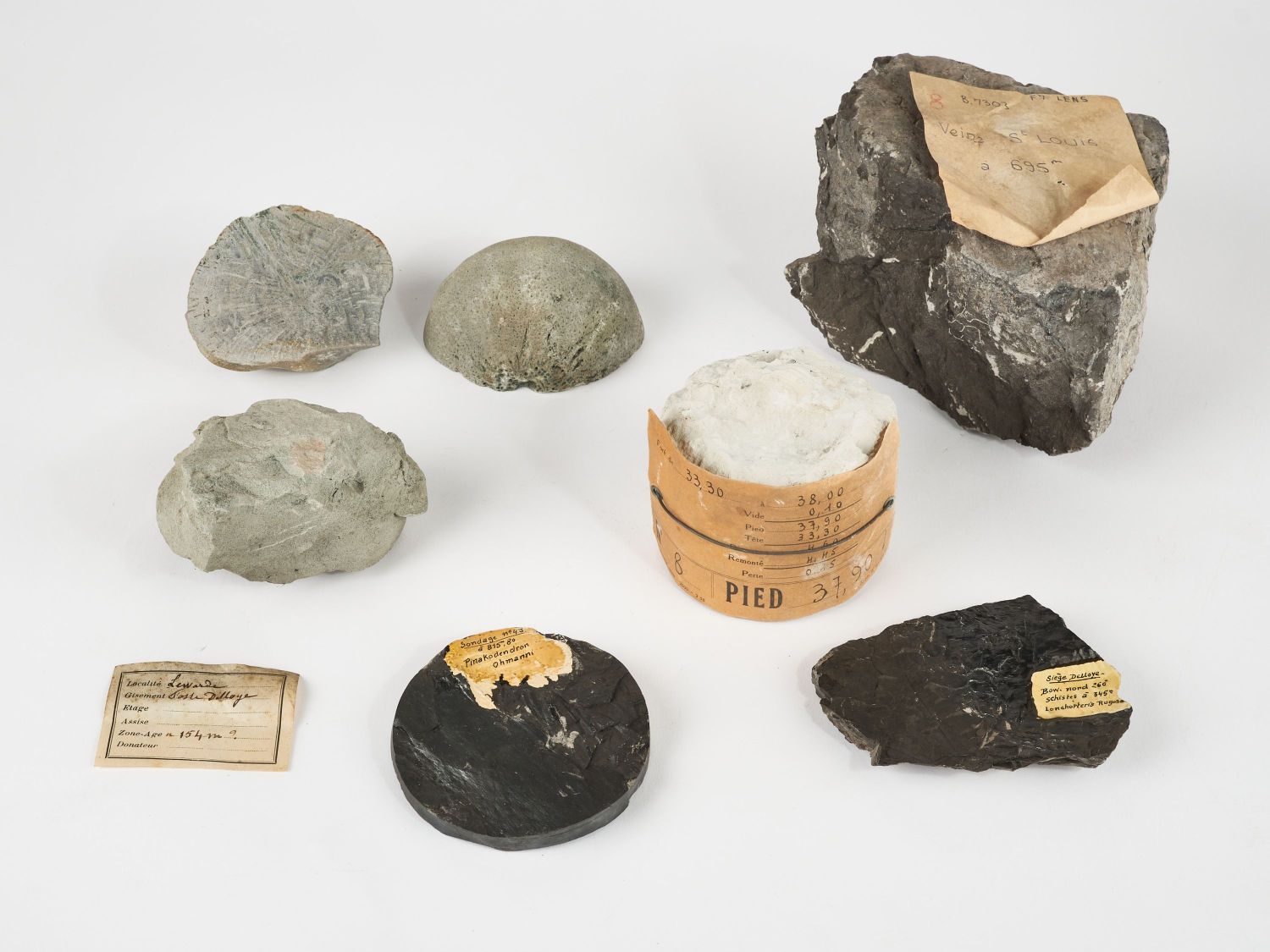 CAMPAGNE LEWARDE 2024_SESSION 2