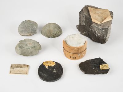 CAMPAGNE LEWARDE 2024_SESSION 2