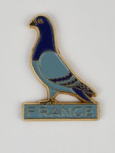 Campagne photographique Musenor 2021