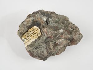 CAMPAGNE LEWARDE 2024_SESSION 2