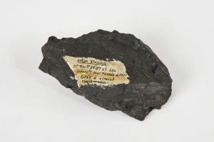 CAMPAGNE LEWARDE 2024_SESSION 2