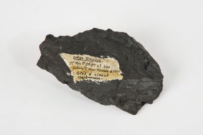 CAMPAGNE LEWARDE 2024_SESSION 2