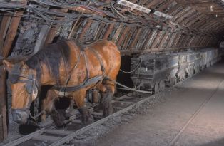 illustration principale de l'exposition virtuelle liée