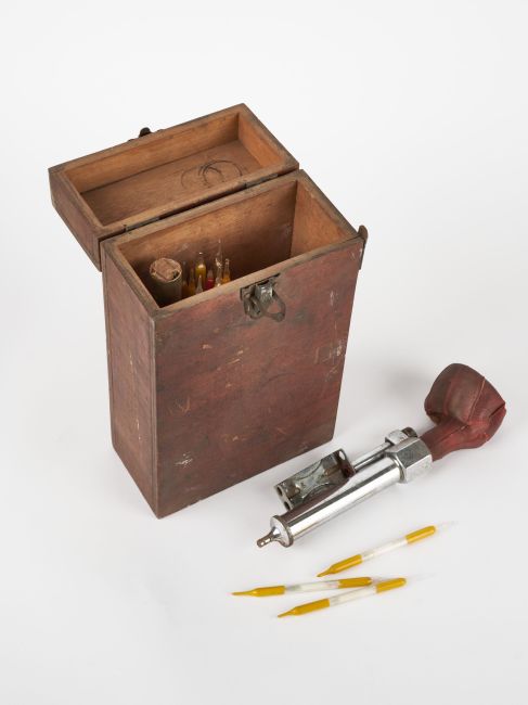 CAMPAGNE LEWARDE 2024_SESSION 2