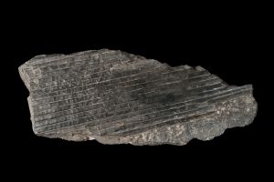 CAMPAGNE LEWARDE 2024_SESSION 2