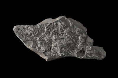 CAMPAGNE LEWARDE 2024_SESSION 2