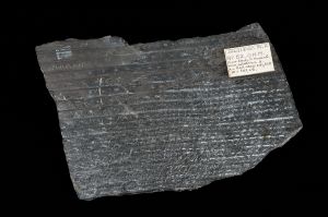 CAMPAGNE LEWARDE 2024_SESSION 2