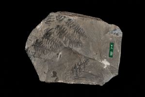 CAMPAGNE LEWARDE 2024_SESSION 2