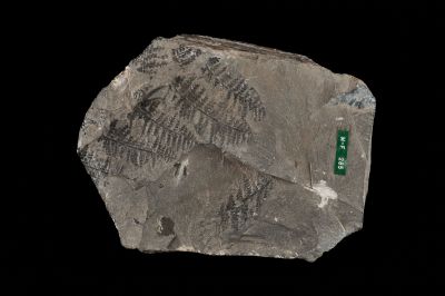 CAMPAGNE LEWARDE 2024_SESSION 2