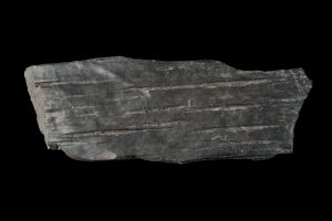 CAMPAGNE LEWARDE 2024_SESSION 2