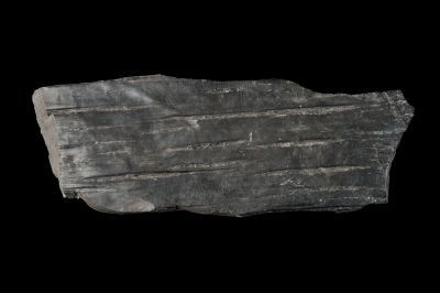 CAMPAGNE LEWARDE 2024_SESSION 2