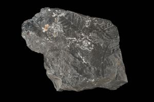 CAMPAGNE LEWARDE 2024_SESSION 2