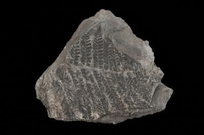 CAMPAGNE LEWARDE 2024_SESSION 2